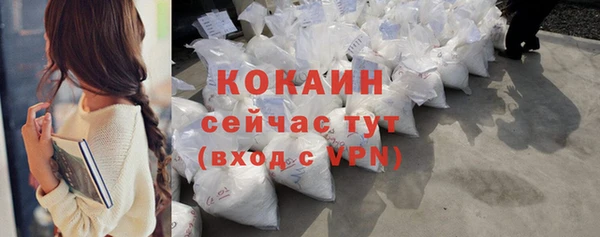 ешки Гусь-Хрустальный