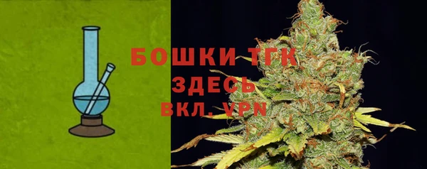 ешки Гусь-Хрустальный