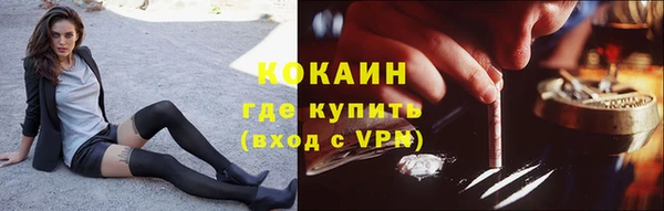 ешки Гусь-Хрустальный