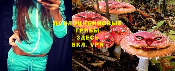 каннабис Гусев
