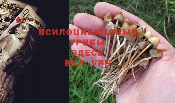 каннабис Гусев