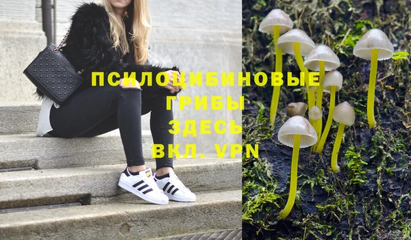 spice Гусиноозёрск