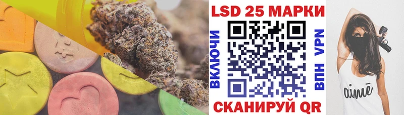 купить Дубовка ОМГ ОМГ как войти Лсд 25 экстази ecstasy