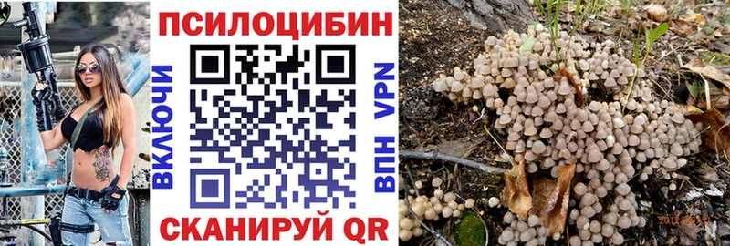 Галлюциногенные грибы MAGIC MUSHROOMS  Дубовка 