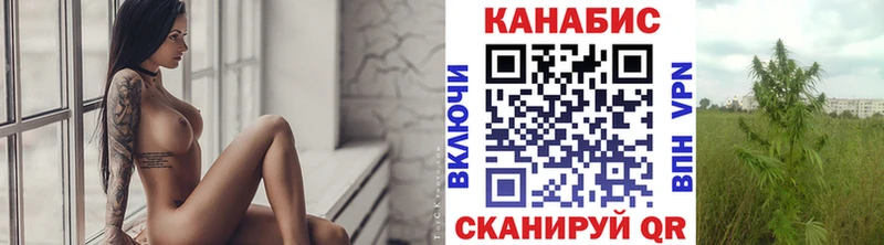 МАРИХУАНА план  что такое наркотик  Дубовка 